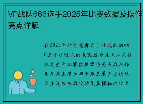 VP战队666选手2025年比赛数据及操作亮点详解
